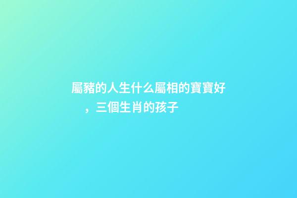 屬豬的人生什么屬相的寶寶好，三個生肖的孩子-第1張-觀點(diǎn)-玄機(jī)派
